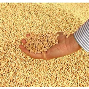 Brennstoff Holzpellets